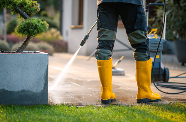 Best Affordable Pressure Washing  in East Setauket, NY
